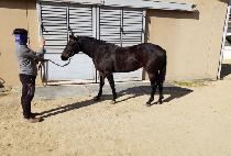 �ٻ��̴� (HAEK CIDER) ����