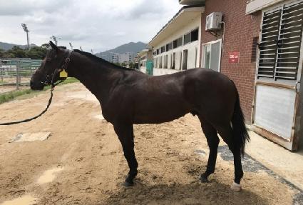 �ü���Ż ����