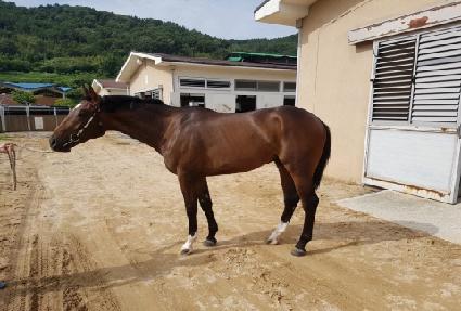 �����ö��� ����