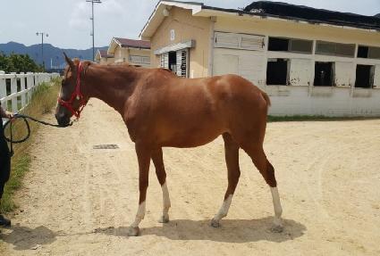 �������Ŀ� ����