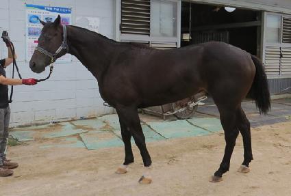 �ε��� ����