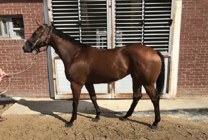 ���̳η��� ����