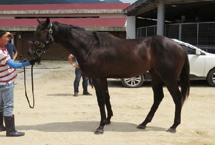 �����ǲ� ����