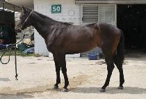 Ȧ�����̸�� (HOLIDAY MORNING) ����