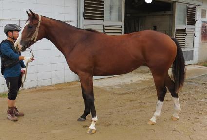 �ǽ�������� ����