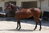 ť�ǵ����̽� (CUPID CHOICE) ����