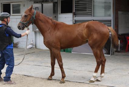 ť��Ʈ�� ����