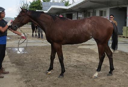 �븮�� ����