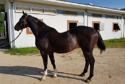 �α����ڸ��� ����