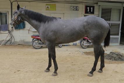 ť��Ʈ�� ����