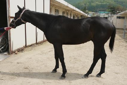 õ���ǹٶ� ����