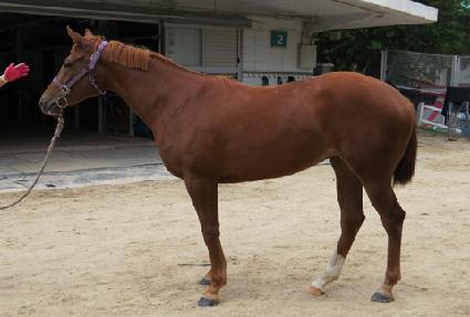 �������� ����