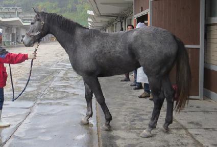 ȣũ�Ƹ��� ����