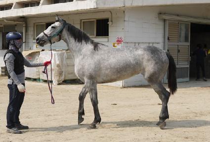 �ູ�ǳ��� ����