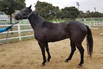 �¸��Ǻұ� ����