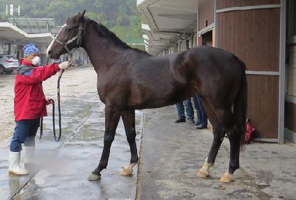 ȣũ�ǿ��� ����