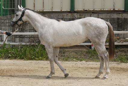 ȭ��Ʈ���� ����