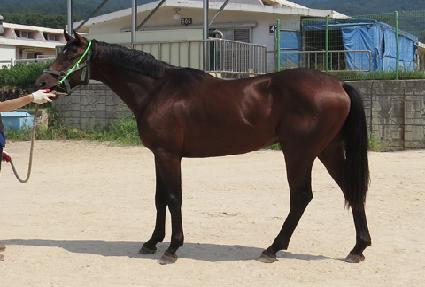 �ε�𺸽� ����