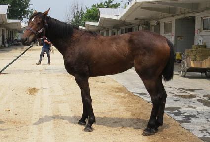 ���罺�� ����