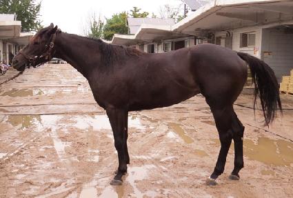 �������� ����