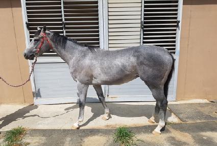 Ƽ������� ����