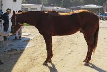 ���纣�� (BLUE BAY) ����