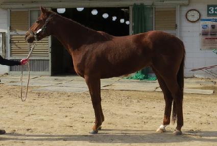 ���ռ� ����