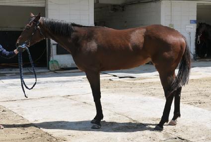 �׸����� ����