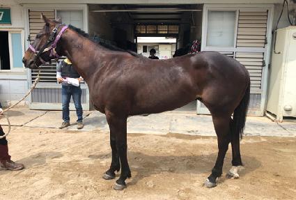 �������̾� ����