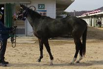 ����Ǽ�äȭ (NONGBUI SUCHEAHWA) ����