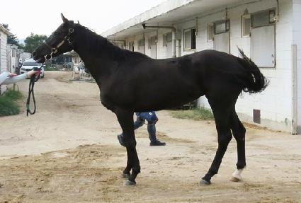 �޴ϱ׷��� ����