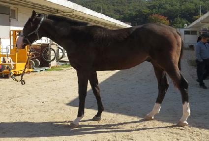 ȣ��ĸƾ ����