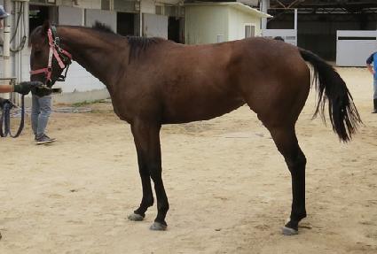 ����Ʈ���� ����