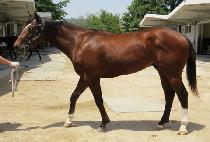 ���ڶ� (NONGBON JARANG) ����