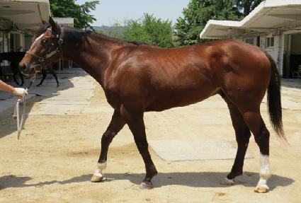 ���ڶ� ����