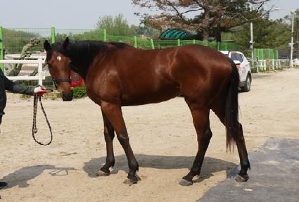 ���� ����