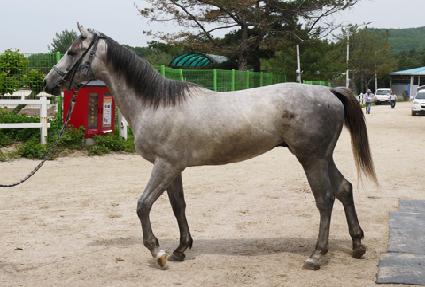 �ݾƸ�����Ƽ ����