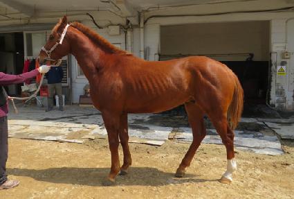 �ݾ��κ󼭺� ����