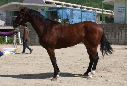 ����Ʈ�� ����