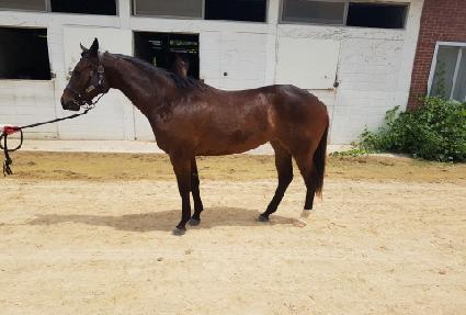 ��¾Ʒ��� ����