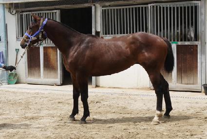 ��½��� ����