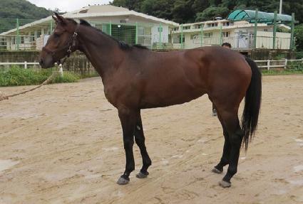 ũ������ť ����