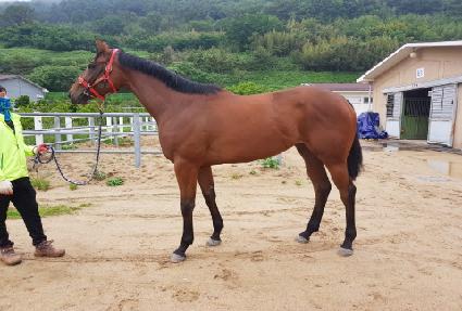 �Ƹ������� ����