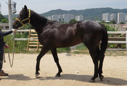 ������ ����