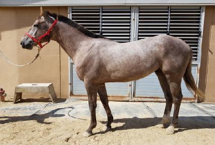 ����Ʈ���� ����