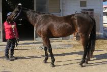 ���̴�����ũ (MIDAS PARK) ����