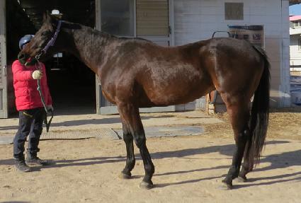 ���̴�����ũ ����