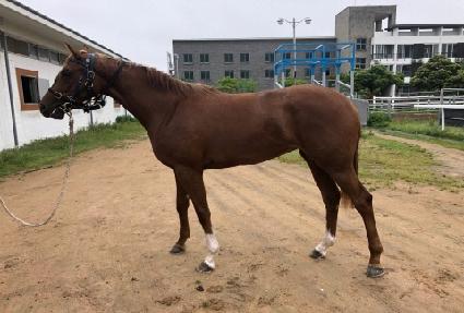 �������ĸ� ����