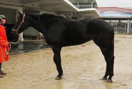 �ʿ����� ����