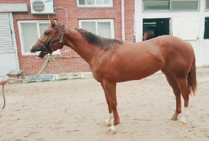 �������� ����